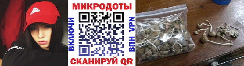 мега зеркало  Новоульяновск  Псилоцибиновые грибы Magic Shrooms 